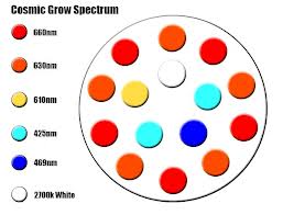 Cosmic Grow Spectrum Cosmic Grow Spectrum